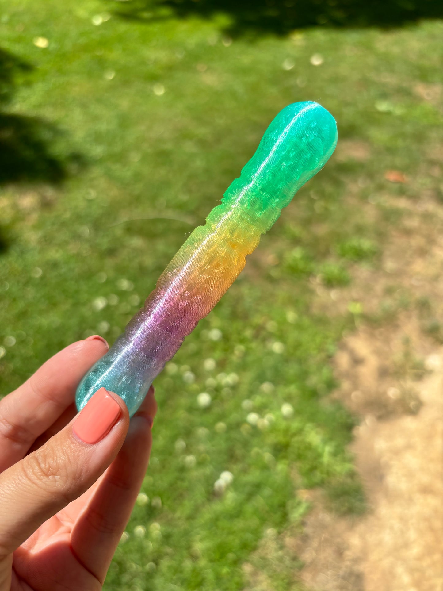 Boli noricolor 13
