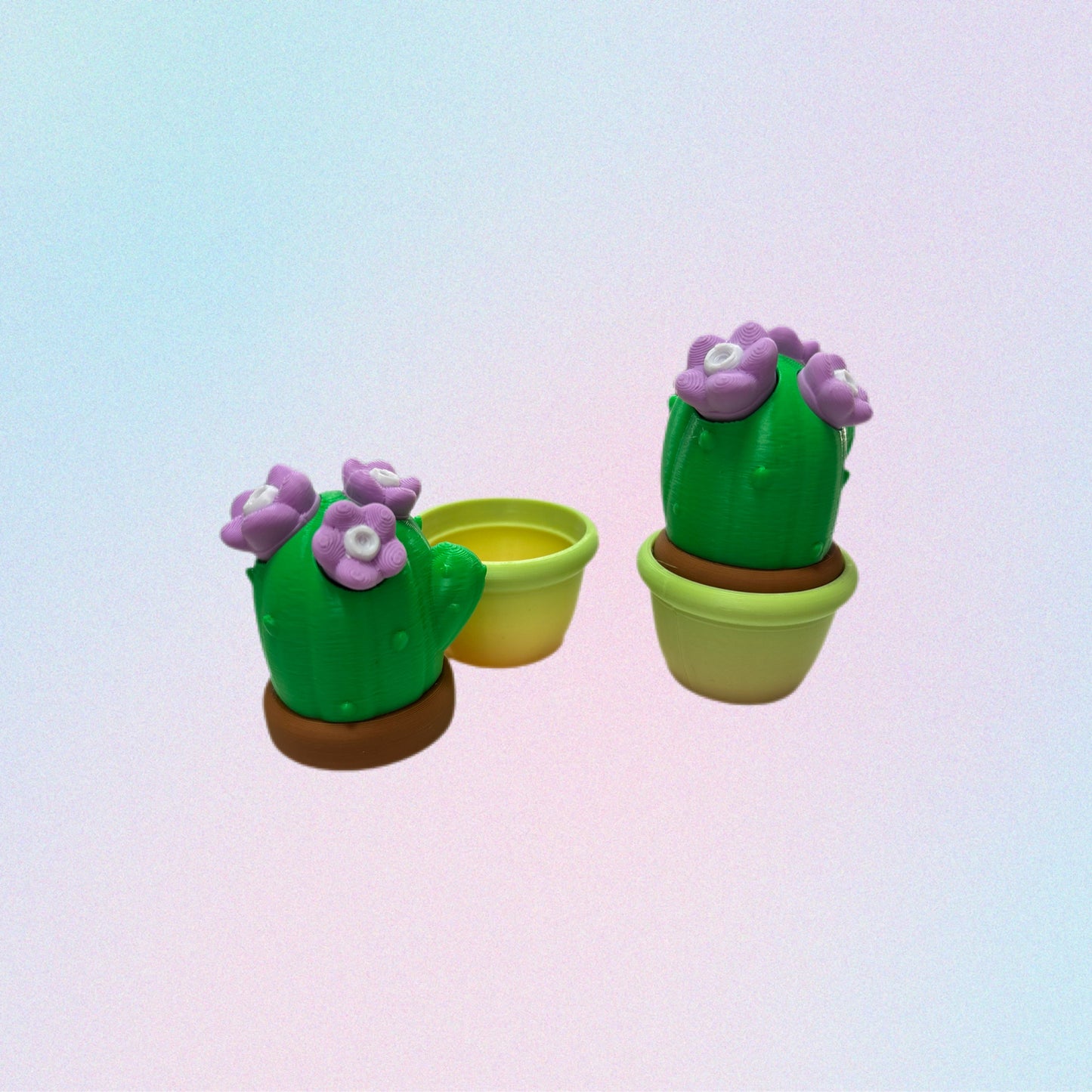 Basurilla cactus